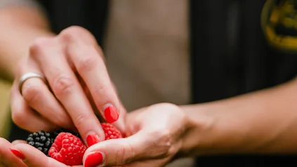 Himbeeren & Brombeeren