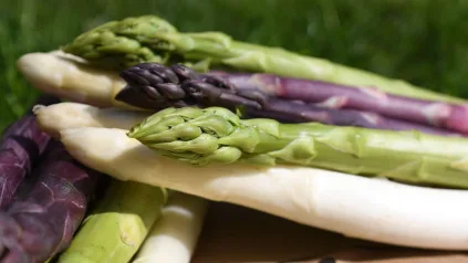 Spargel