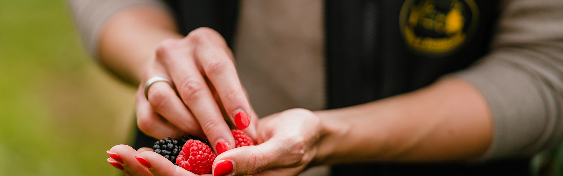 Bäcker’s leckere Beeren aus Münster Bäcker's leckere Beeren aus Münster