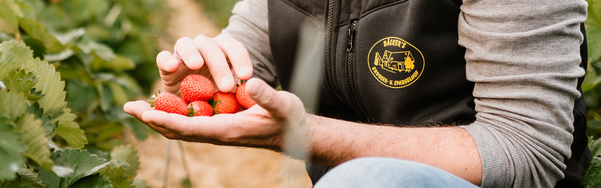 Bäcker’s Erdbeeren aus Münster Bäcker's Erdbeeren aus Münster