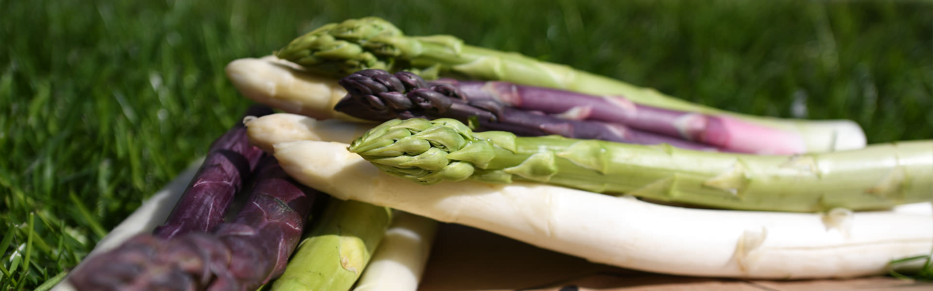 Produkte: Bäcker’s Spargel aus Münster Produkte: Bäcker's Spargel aus Münster