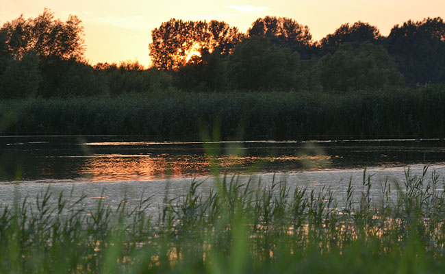 thumb_picknick_sonnenuntergang