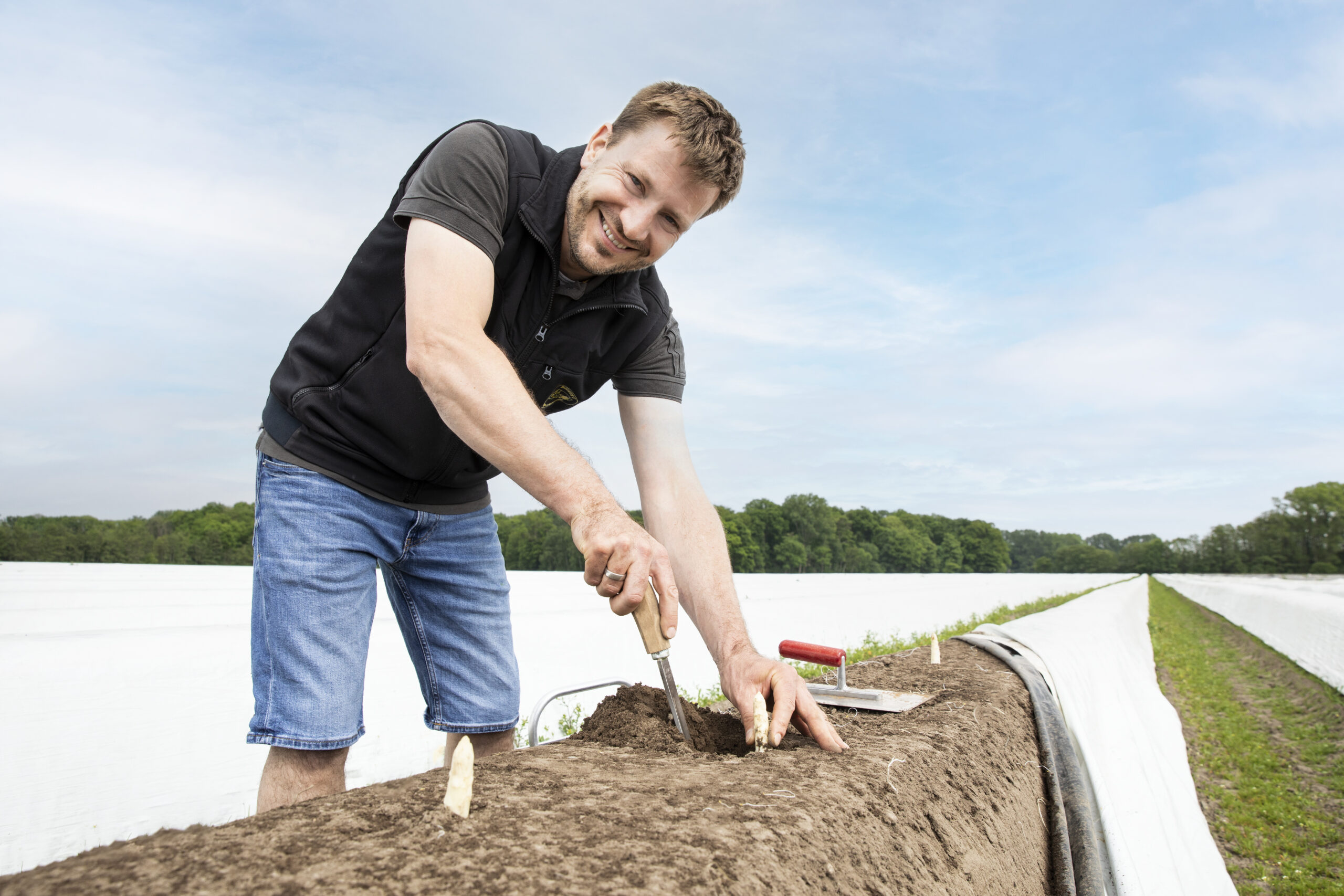 SHP-5669_Spargelfeld_Stephan_003 SHP-5669_Spargelfeld_Stephan_003